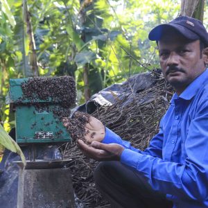 Beeman Of West Bengal